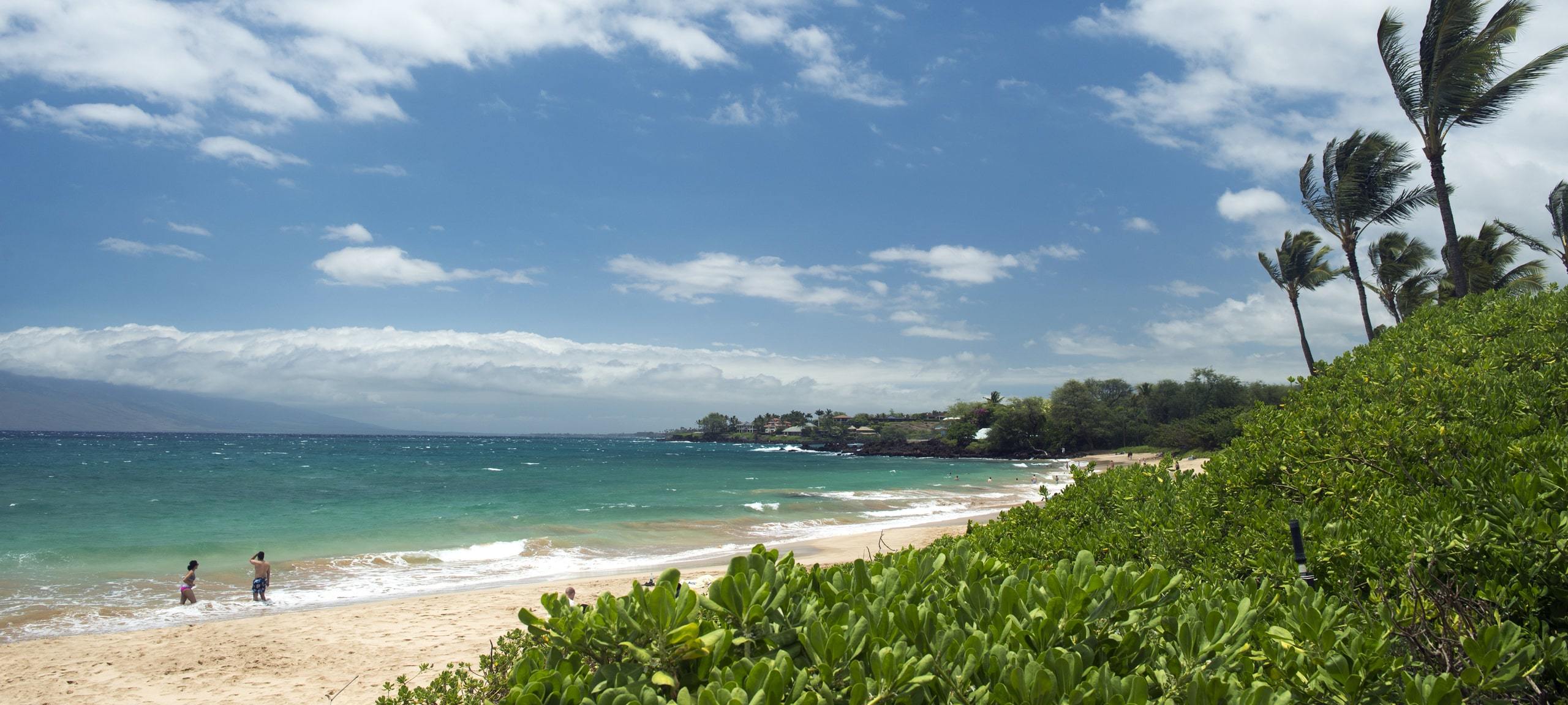South Maui Waterfront Homes For Sale Bello Realty, Inc.