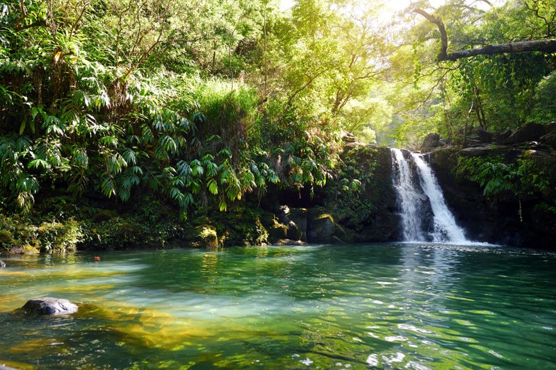 Gorgeous view of Haipua'ena Falls in East Maui, HI