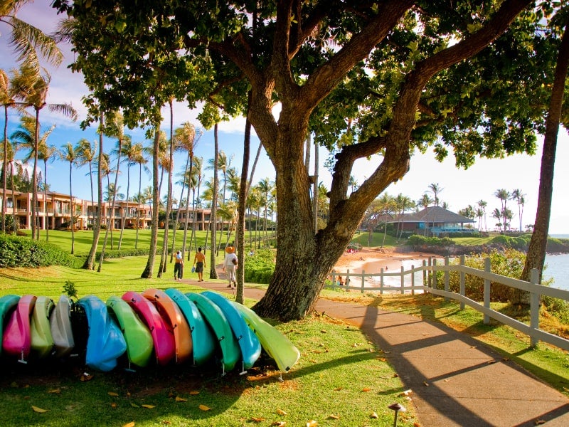 Row of kayaks along beachfront pathway with hotels in distance, Wailea, Maui
