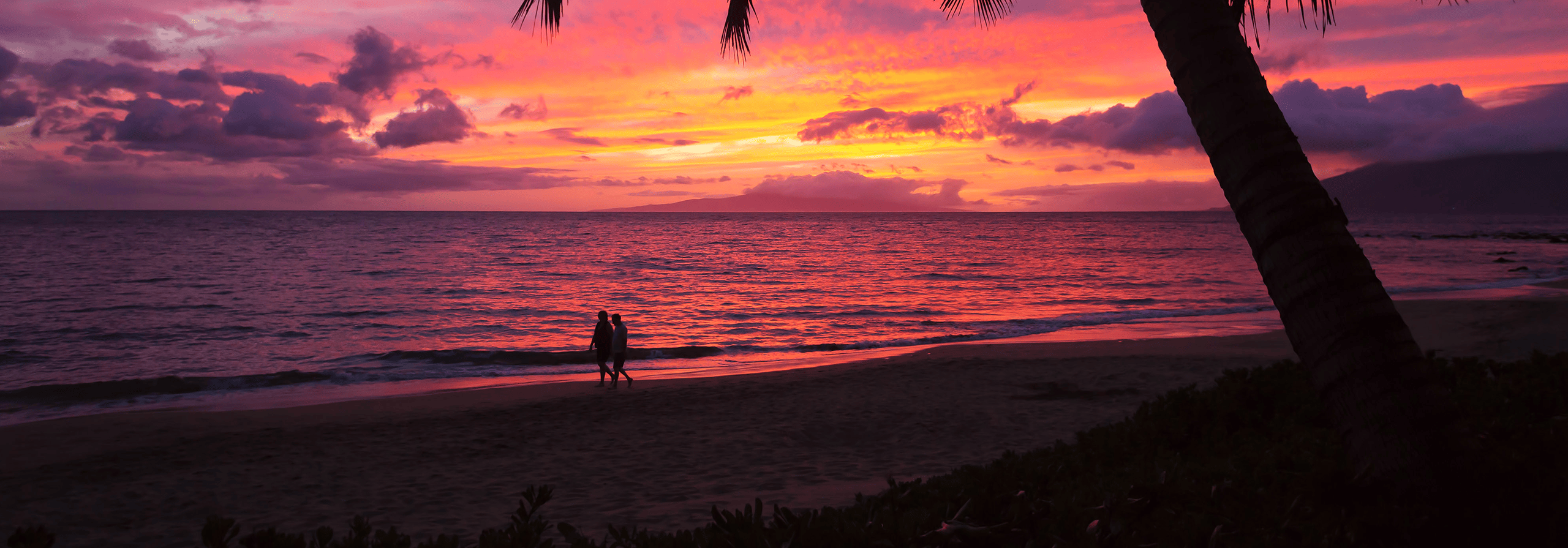 Couple on the beach in the sunset